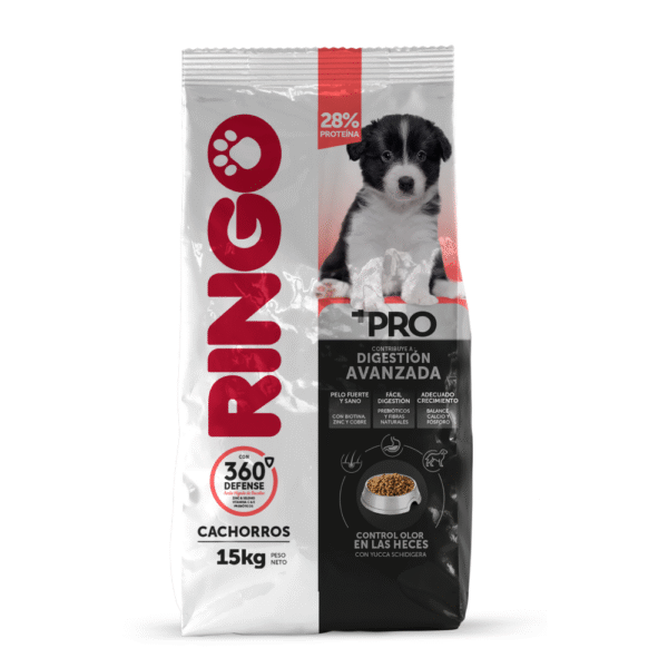 RINGO + PRO CACHORRO