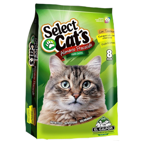 SELECT CAT S