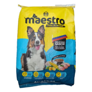 MAESTRO ADULTO