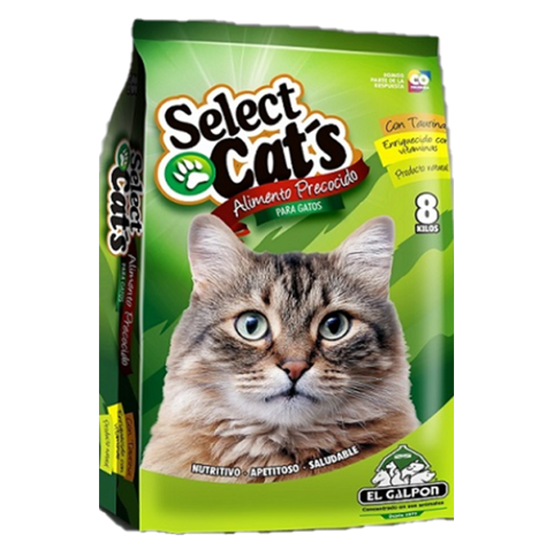 SELECT CAT S