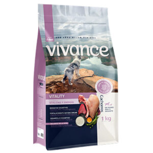 VIVANCE VITALITY PERRO CHRR X 1KG (PC 12)