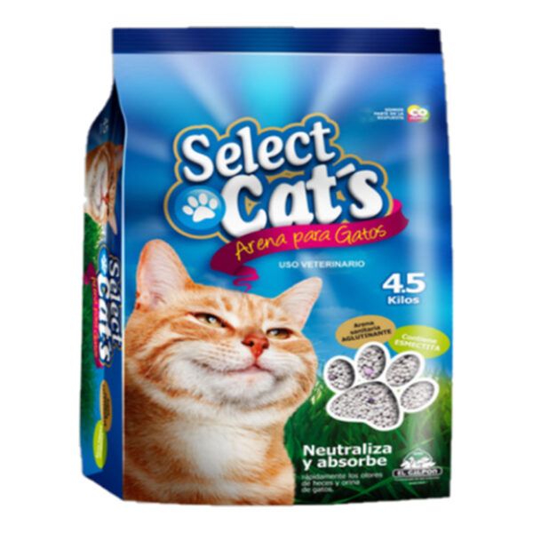 SELECT CAT S ARENA